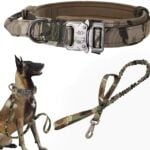 tactical leash and collar