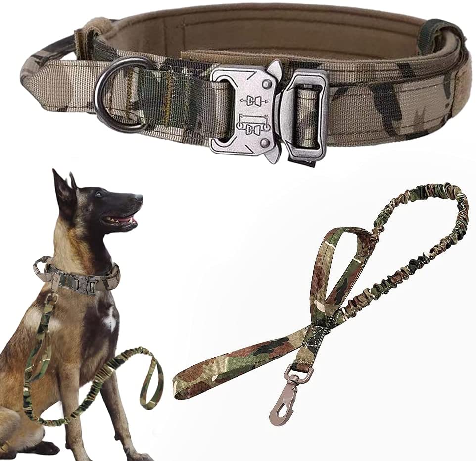 tactical leash and collar