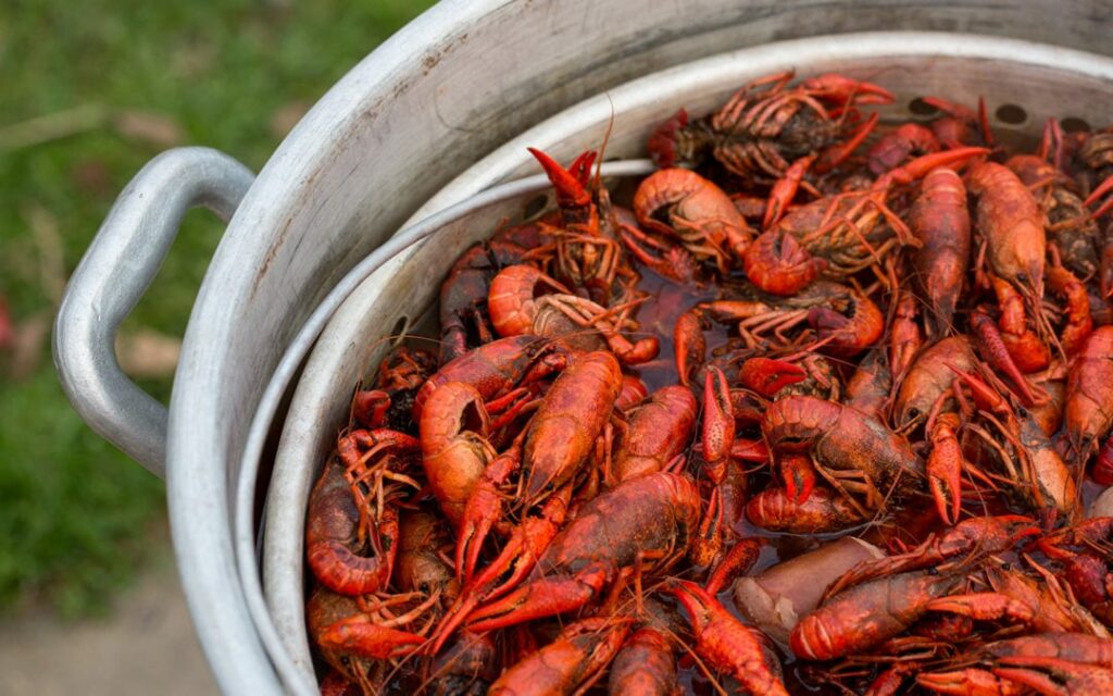 Crawfish Boil, how to boil